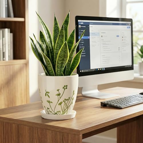 MPotTo 6 Inch Plant Pot, Ceramic Pots for Plants, Grasses White - Image 4