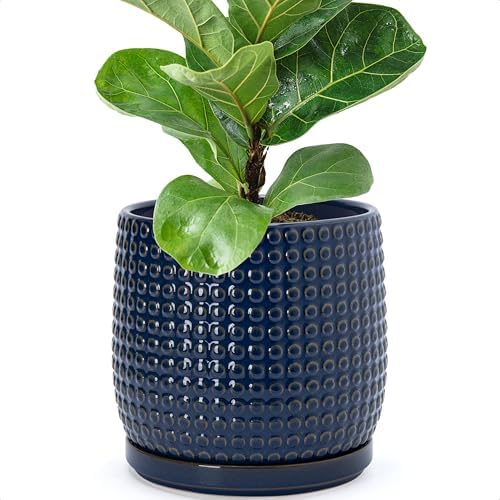 D'vine Dev Beaded Ceramic Pot with Saucer, 8 in, Midnight Blue, 27-C-Q-3 by DvineDevPlanterPotsandStand