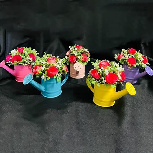 Plant Watering Can, 0.26 Gallon Small Decorative Metal Indoor Watering Cans for House Plants with Sprinkler Head and Handle,Modern Durable Lightweight Water Can for Plants for Gardening - Image 5
