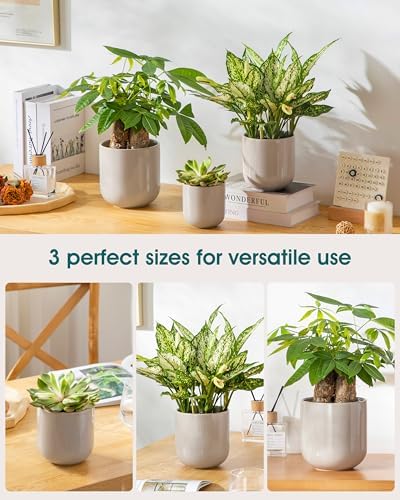 vancasso Ceramic Plant Pots, 4+5+6 inches, Set of 3, Planters with Drainage Hole, Flower Pots Planters Pots for Indoor Plants, Modern Indoor Decorative Garden Pot, Home Decor, Gray - Image 5