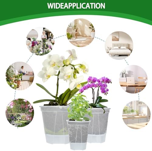 Cdd's Path 6-Pack Bare Root Planter Self Watering Pots Set with Holes for Indoor/Outdoor Plants, 2 Each of 5, 6 and 7 Inch Planter Pot with Watering Hole/Reservoir and Air Pipes, Clear - Image 2