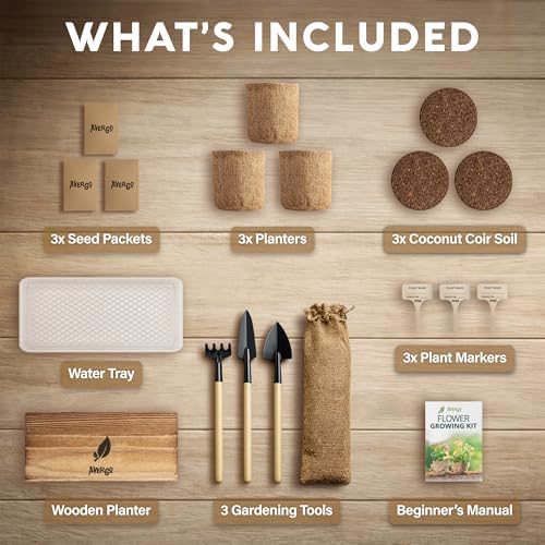AVERGO Sunflower Seeds Growing Kit - Image 3