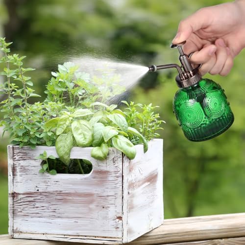 TOYANDONA Plant Mister Spray Bottle Glass Mister for Indoor Plants One-Hand Watering 6.29 X 3.07 X 3.07 in Home Gardening Spray Bottle - Image 6
