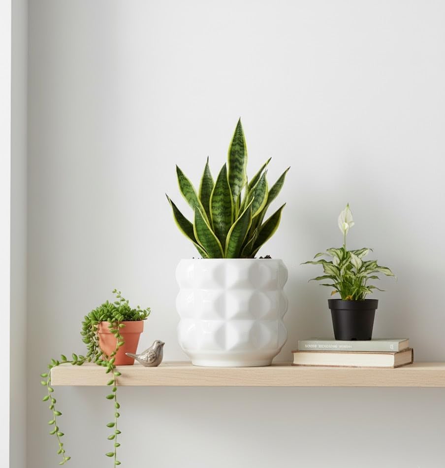 Ceramic Planter Pot with Drainage Hole, 4.5 Inch Dia, Indoor and Outdoor, Home Patio Garden, Plants Flower Succulent, 3D Patterned Round (White) - Image 2