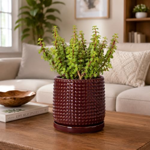 D'vine Dev Beaded Ceramic Pot with Saucer, 6 in, Burgundy Red, 27-C-X-M - Image 7