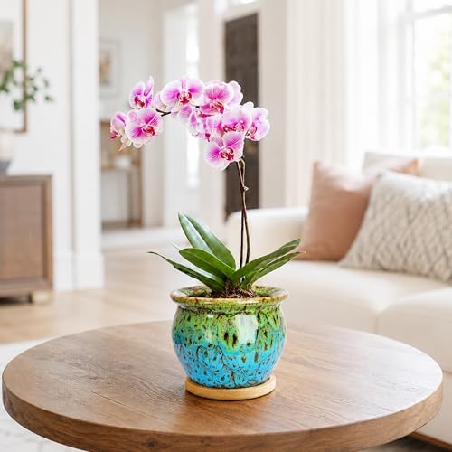 Plant Pots, 4.5 Inch Ceramic Pots for Plant with Drainage, Small Planters - Image 6