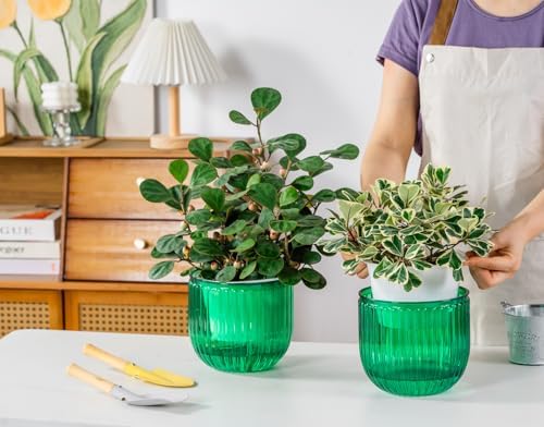 Melphoe Self Watering Pots for Indoor Plants Planter, 6.5 Inch 2 Pack Planters Self Watering Plant Pots for Flower, Houseplants, Succulent, African Violets and Cactus with Drainage - Image 2