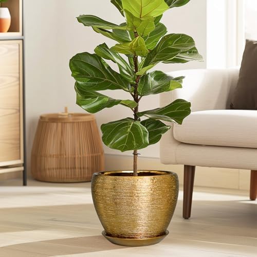 Ceramicfor Ceramic Plant Pot 8 Inch - Planter for Outdoor Plants Indoor Plant Pot with Drainage Hole and Saucer Decorative Round Planter Modern Flower Pot for House Decor Gold - Image 5