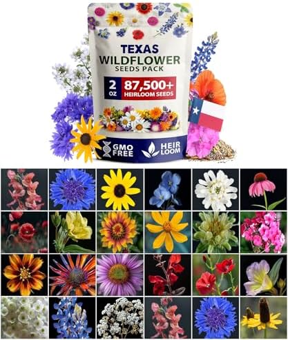 HOME GROWN Texas Wildflower Mix 87,500+ Flower Seeds 2 oz by HOMEGROWN