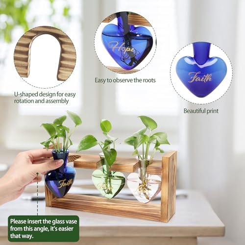 Plant Terrarium Propagation Stations Hydroponics - Image 2