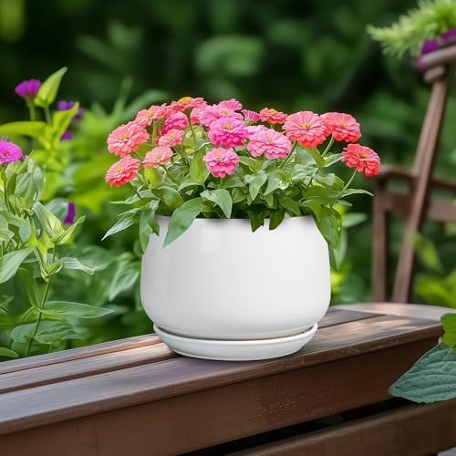 G EPGardening Ceramic Pots for Plants - 6 Inch Planter for Indoor Plants, Flower Pots with Drainage and Ceramic Tray, Modern Office Decor, Gifts for Plant Lovers, White - Image 4