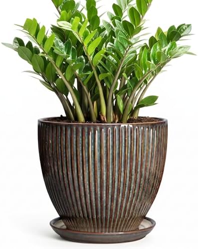 Ceramic Pots for Plants, 10 Inch Planters for Indoor Plants, Decorative Planter with Drainage Hole and Saucer, Round Indoor Plant Pots, Modern Planter, House Decor, Women Men Gifts, Retro Brown by Unknown