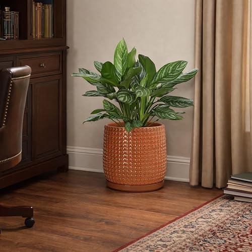 D'vine Dev Beaded Ceramic Pot with Saucer, 8 in, Pumpkin, 27-C-Q-J - Image 7