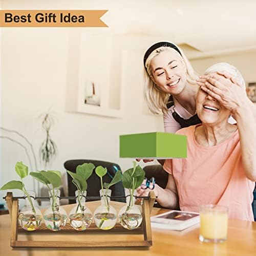 Renmxj Plant Propagation Stations with Wooden Stand & 5 Glass Bulb Vases - Image 5