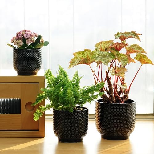 4 + 5 + 6 Inch Ceramic Pots for Indoor Plants, Succulents Plant Pots, Orchid Flower Pot with Drainage Hole, Modern Clay Stoneware Planters, Set of 3 (Black, 4+5+6 Inch) - Image 5
