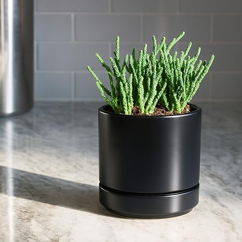 D'vine Dev 4.7 Inch Ceramic Planter Pot, Black, 94-O-B-2 - Image 2