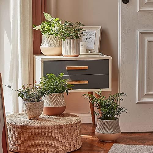 LA JOLIE MUSE Ceramic Plant Pots, Flower Pots for Indoor Plants, Set of 2 - Image 3