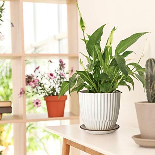 D'vine Dev 2-Pack Stoneware Planter Pots, 4.5/5.8 in, Ivory, 99-D-1 - Image 2
