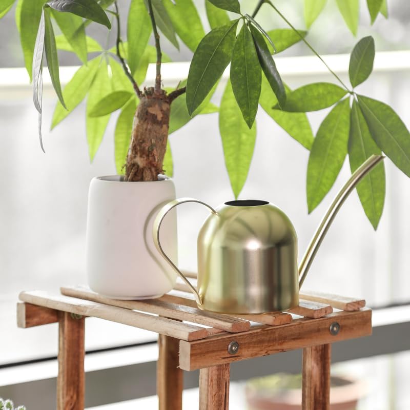 Stainless Steel Water Can for Indoor Plants and Garden (Gold 30 oz) - Image 6