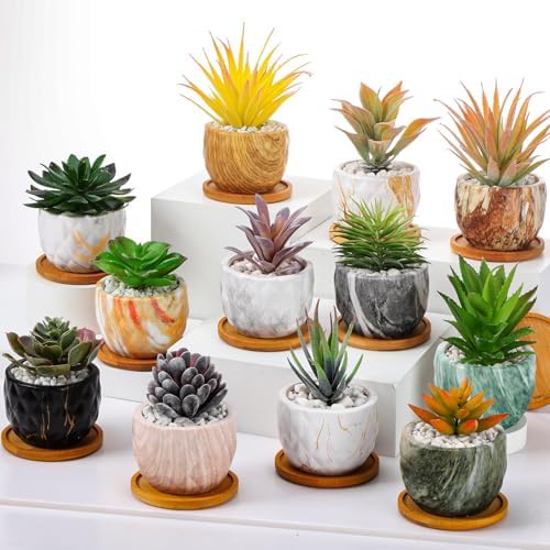 Ziliny Marbling Ceramic Flower Pot 3.35 Inch Succulent Small Plant Cactus Herbs Planter Ceramic Pot with Drainage Hole Matte Round Container(12 Pcs,Simple Style) by Ziliny