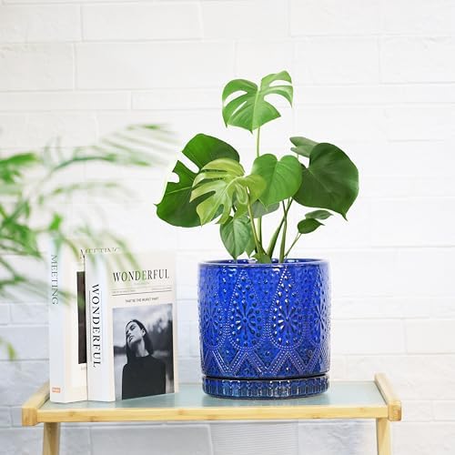8 Inch + 6 Inch Indoor Plant Pot with Drainage Holes and Saucers, Ceramic Planter for Plants Succulent Orchid Flower Pots - Image 6