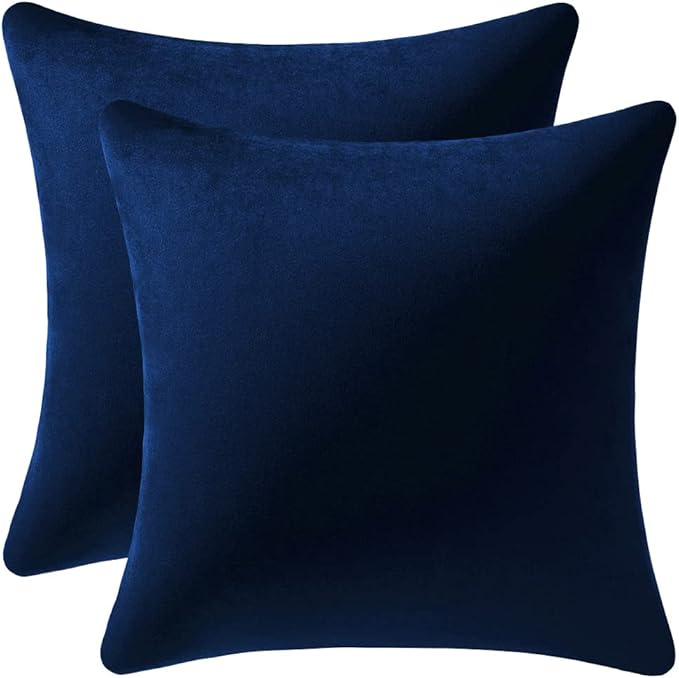Couch Pillow Cases 22x22 Navy: 2 Pack Cozy Soft Velvet Square Throw Pillow Covers for Farmhouse Home Decor