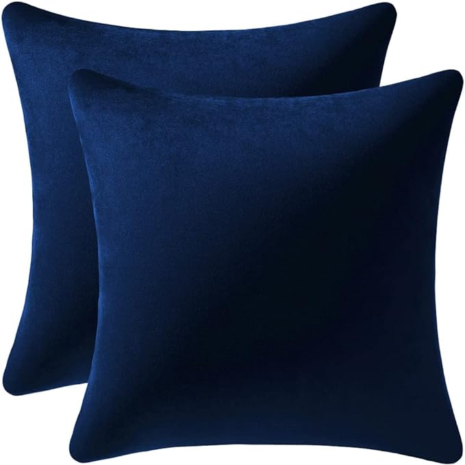 Couch Pillow Cases 18x18 Navy: 2 Pack Cozy Soft Velvet Square Throw Pillow Covers for Farmhouse Home Decor