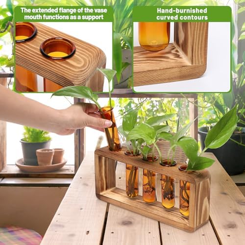 Glass Plant Propagation Station with 5 Test Tubes Colorful Planter Vase - Image 4