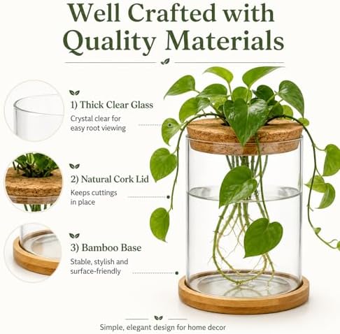 Glass Plant Propagation Stations, 2PCS - Image 3