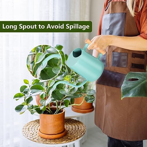 Watering Can Indoor Plants, 35oz Small Indoor Stainless Steel Metal Watering Can Modern Decorative Watering Pot with Long Spout for Indoor House Plant Bonsai Outdoor Garden Flowers Green - Image 2