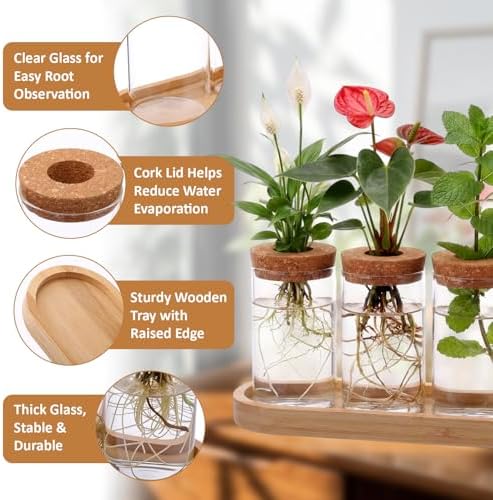 Zhehao 5 Pack Plant Propagation Station Hydroponic Glass Jar Terrarium with Cork Lids Bamboo Tray Desktop Planter for Rooting Cuttings Home Office Garden Decor - Image 3