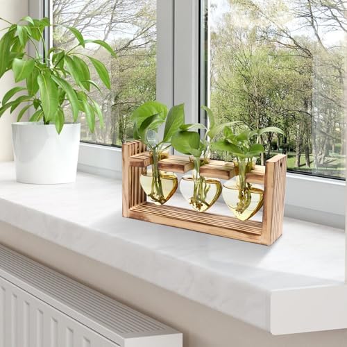 Plant Terrarium Propagation Stations Hydroponics - Image 6
