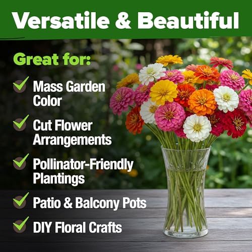 HOME GROWN Zinnia Seeds, Pumila Mix, 4,300 Seeds, Zinnia elegans - Image 4