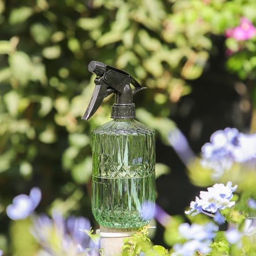 OFFIDIX Fine Mist Plant Mister, Glass Spray Bottles, Green Misters 15 oz - Image 5
