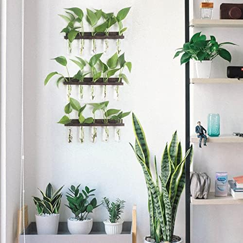 Renmxj Wall Hanging Plant Propagation Station 15 Glass Test Tubes - Brown - Image 4
