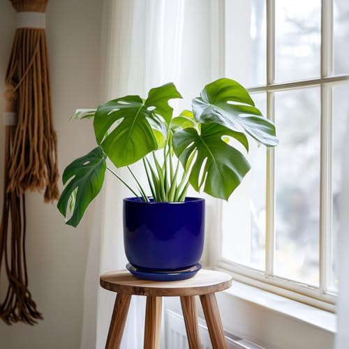 Ceramic Flower Pot 7 Inch - Cylinder 7 Inch Round Planter for Cactus Orchid Plants with Drainage Hole and Saucer, Home Office Room Desk Decor, Blue - Image 6