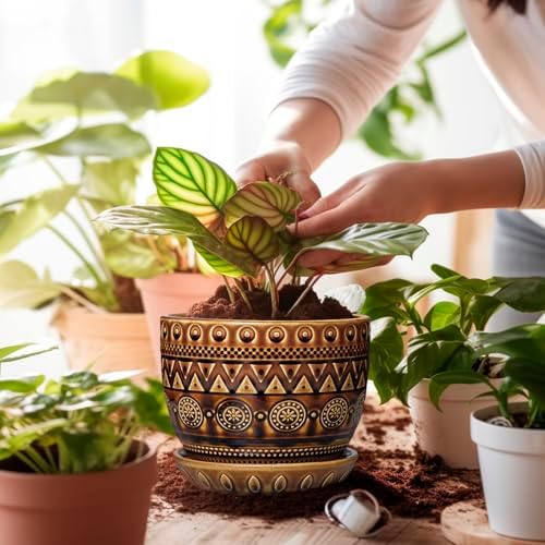 G EPGardening Ceramic Pot for Plants 5.5 Inch - Ceramic Plant Pot with Drainage Hole and Saucer, Boho Round Planter for Indoor Outdoor Plants, Plant Lover Gifts, Office Garden House Decor, Brown - Image 4