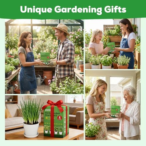 Indoor Herb Garden Starter Kit - Mothers Day Gifts - 4 Non GMO, Heirloom Culinary Herb Seeds, Unique Gardening Gift for Women, Mom, Her, Birthday, Housewarming, Plant Lovers - Image 3