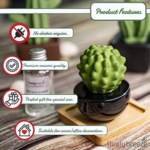 Frank Cactus, Non-Electric Ceramic Diffusers for Essential Oils and Aromatherapy Fragrance, White Ceramic Diffusers in Car or Desk Office Decor and Small Bathroom at Home, Black vase - Image 3
