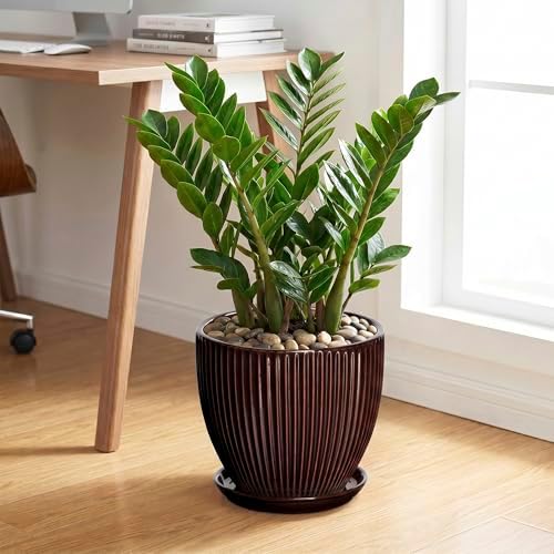 Ceramic Pots for Plants 10 Inch, Indoor Planter with Drainage Hole and Saucer, Large Round Decorative Ceramic Plant Pots, Modern Flower Planter, Patio Room Decor, Gifts for Plant Lovers, Brown - Image 3