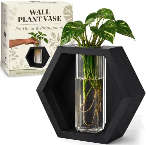 AVERGO Wall Plant Decor (1-Pack), Black Wood Indoor Wall Planter by Plantingseedsgrowingdreams
