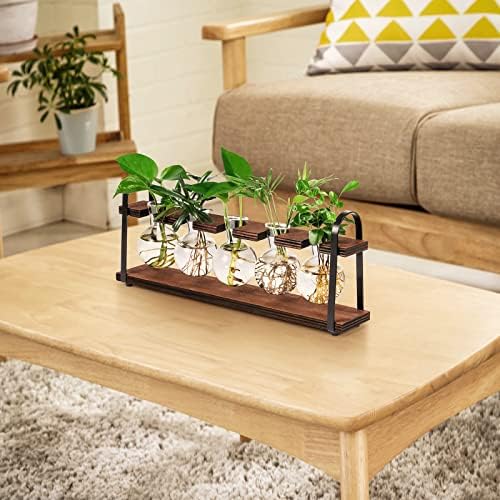 5-Bulb Plant Propagation Station, Glass Vase Terrarium, Wood Metal Stand - Image 3