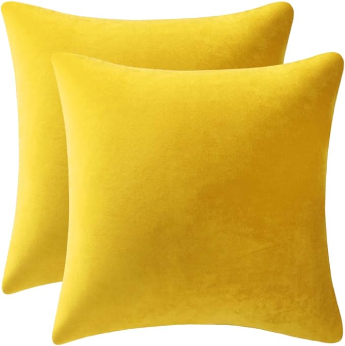 Couch Pillow Covers 20x20 Yellow: 2 Pack Cozy Soft Velvet Square Throw Pillow Cases for Farmhouse Home Decor