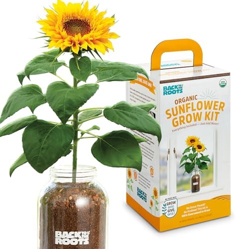 Back to the Roots Sunflower Organic Windowsill Planter Kit - Grows Year Round, Includes Everything Needed for Planting by BacktotheRoots