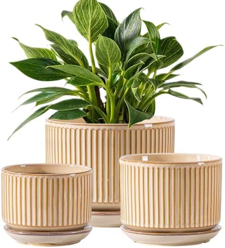 SURE YUESI Ceramic Plant Pots Set of 3, Indoor Outdoor Planters with Drainage Hole and Saucer, Ceramic Flower Pots for Indoor Plants, 4.3+5.5+6.8 Inch, Home, Garden, Patio and Office, Glossy Beige by SUREYUESI