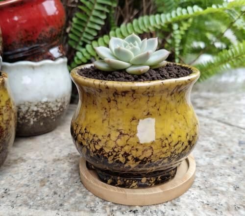 Cute 3.94 Inch Ceramic Home Garden Decoration Succulent Cactus Flower Pots Container -Plant Not Included，Yellow - Image 3