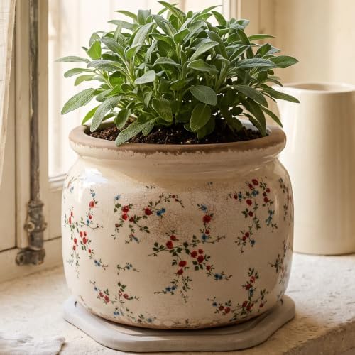 Cottage Core Ceramic Plant Pot with Decorative Saucer, Plant Lover Gifts - Image 2