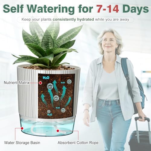 3 Pack Self Watering Pots for Indoor Plants, 5.5 Inch Plant Pots - Image 6