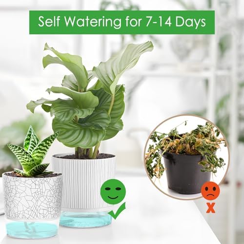 4 Pack Self Watering Pots for Indoor Plants, 4/5.5 Inch Plant Pots - Image 4