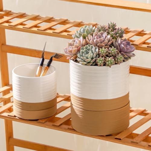 HASENSE Self Watering Plant Pot, 6 Inch Porcelain Planter with Drainage Hole and Saucers for Indoor & Outdoor Plants, Round Flower Pots for Houserwarming Gift, White - Image 5